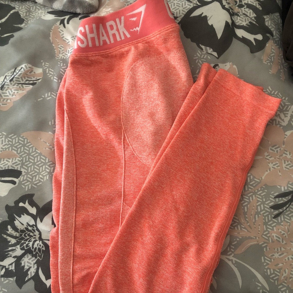 Gym shark